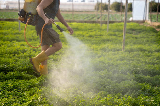 Best Exterminator Services  in Fort Leonard Wood, MO