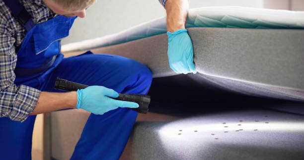 Best Pest Inspection Near Me  in Fort Leonard Wood, MO