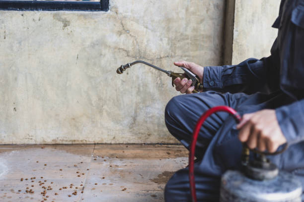 Best Flea Control Services  in Fort Leonard Wood, MO
